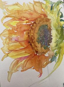 Windy Sunflower 